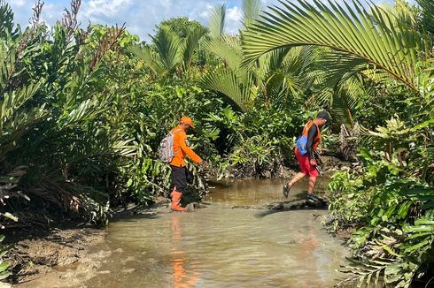Warga Donggala Hilang 7 Hari Saat Memancing di Lokasi Penuh Buaya, Pencarian Dihentikan