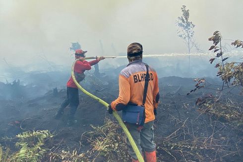 Karhutla di Mempawah Diperkirakan Mencapai 600 Hektar, Polisi Selidiki Penyebabnya