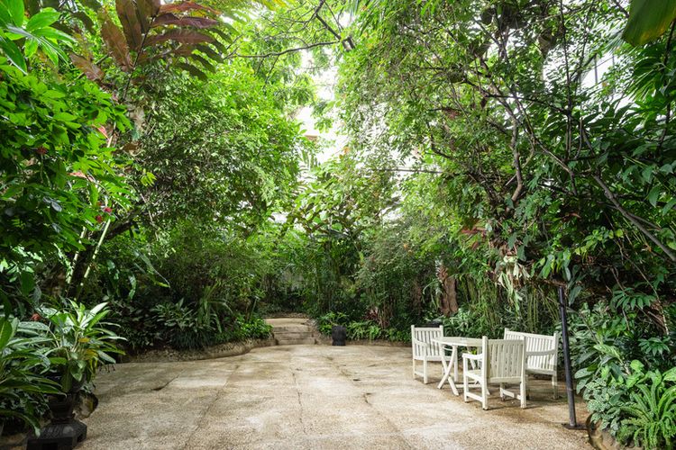 Tropical Garden Hotel Papandayan 