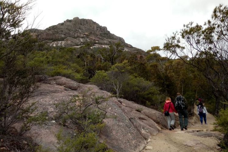 Puncak Gunung Amos menjulang menemani perjalanan menuju ke Wineglass Bay Lookout di Taman Nasional Freycinet, Tasmania.