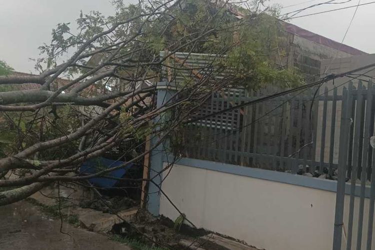 Beberapa petugas gabungan tengah mengevakuasi pohon tumbang di beberapa lokasi di Kabupaten Bandung, Jawa Barat akibat hujan deras dan angin kencang yang melanda Kabupaten Bandung pada Selasa (31/10/2023)