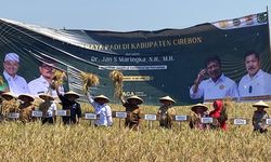 Ikuti Panen Raya di Cirebon, Irjen Kementan Pastikan Jumlah Ketersediaan Beras Nasional Bertambah