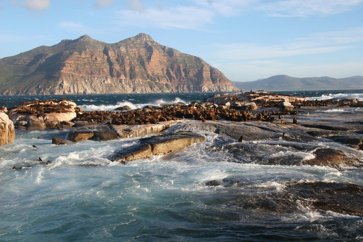 Ilustrasi Afrika Selatan - Pemandangan pantai di Pulau Duiker.