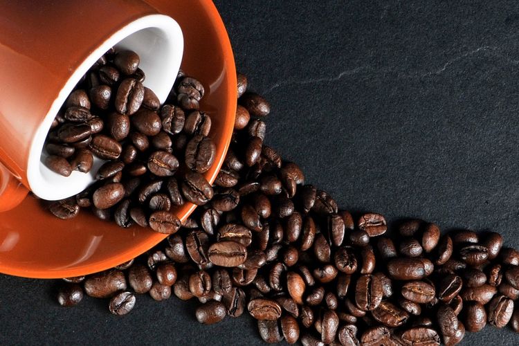 Ilustrasi kopi, biji kopi.