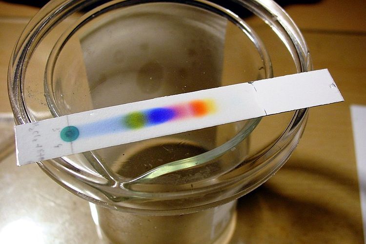 Apa Itu Kromatografi? Cara Pemisahan Warna pada Tinta 