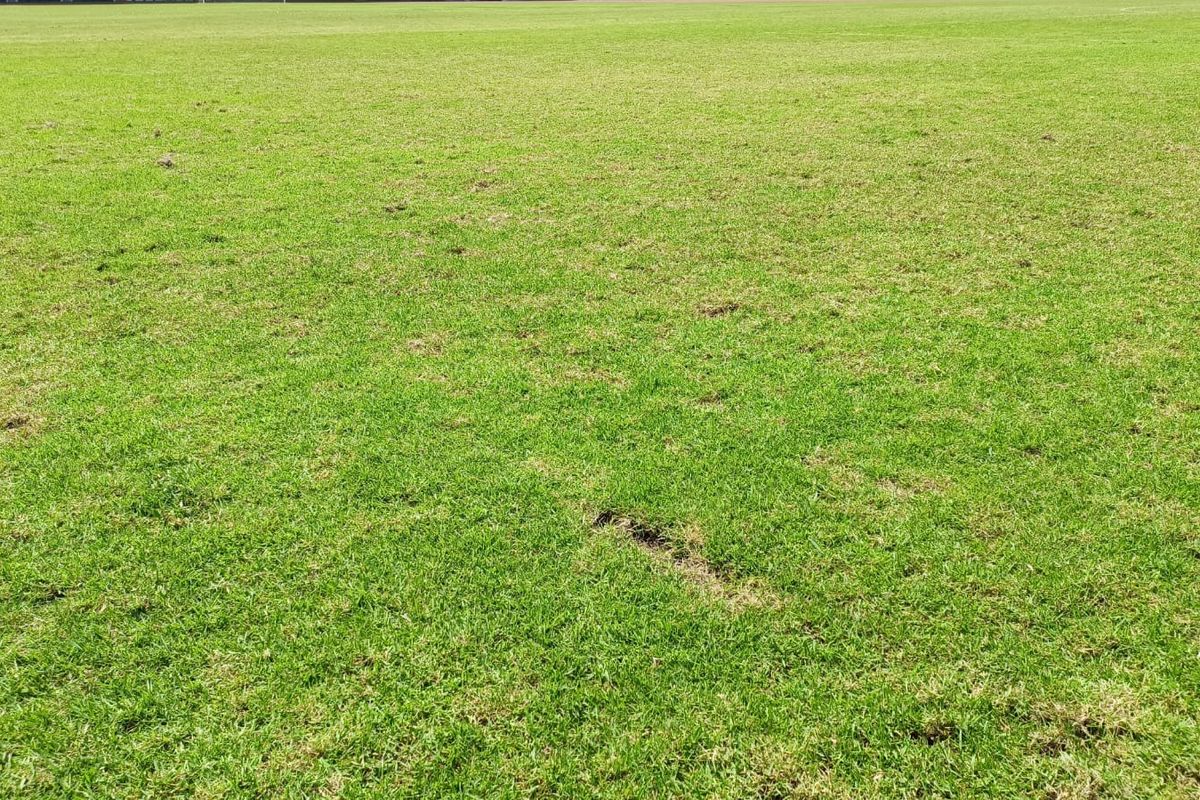 Kondisi rumput lapangan di Stadion Patriot Candrabhaga, Kota Bekasi pasca gelaran kompetisi piala AFF U-19, Senin (18/7/2022). Sejumlah kerusakan rumput lapangan itu bahkan diperkirakan mencapai hingga 50 persen.