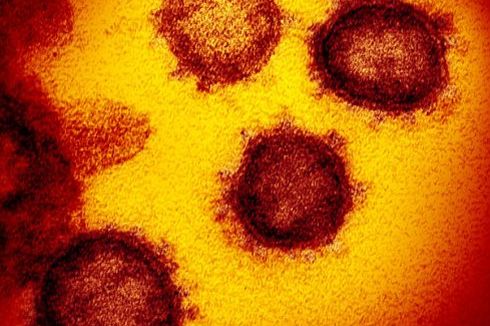 Kasus Virus Corona Per 23 Februari 2020, 2.400 Orang Meninggal, 76.000 Terinfeksi