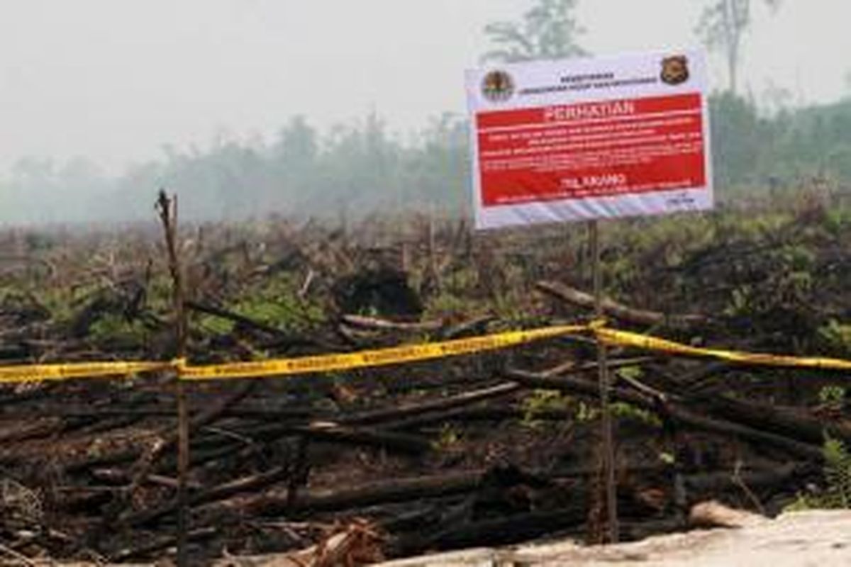 Lahan gambut yang ditanami sawit usai dibakar disegel oleh Kepolisian dan Kementerian Kehutanan dan Lingkungan Hidup (2810/2015). 