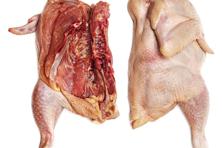 Daging Ayam Tiren Masihkah Mengandung Gizi? Ini Penjelasan Para Ahli…