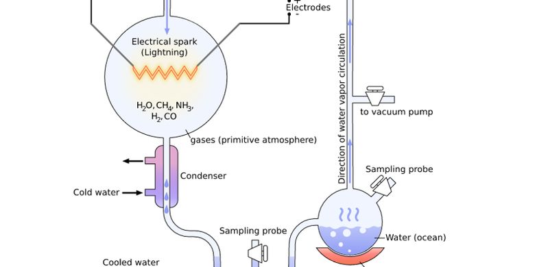 The Theory of the Origin of Life According to Harold Urey