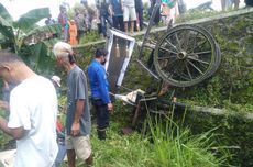 Belajar Menarik Delman, Kuda di Bantul Malah Masuk Selokan