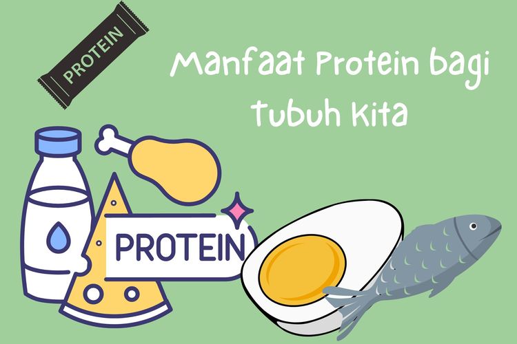 Foto Manfaat Protein bagi Tubuh Manusia dan Akibatnya jika Kekurangan