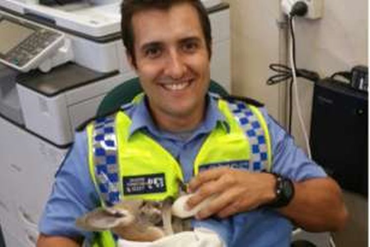 Seorang polisi bernama Mason menemukan seekor bayi kanguru yang terluka lalu merawat hewan itu. Kini bayi kanguru itu menganggap Mason sebagai induknya.