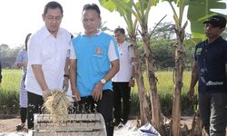 Ketika Kelompok Petani di Mijen Rayakan Panen Raya Padi 