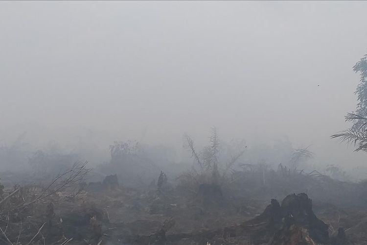 Kondisi bencana kebakaran Hutan dan Lahan di Desa Teluk Bano II, Kecamatan Pekaitan, Kabupaten Rokan Hilir, Riau.