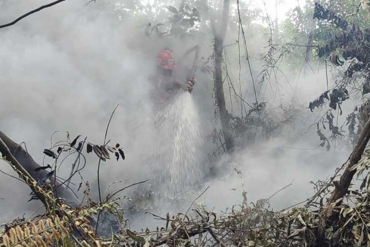Tim Manggala Agni Pekanbaru dan prajurit TNI tengah berjibaku memadamkan api karhutla di Desa Rimbo Panjang, Kecamatan Tambang, Kabupaten Kampar, Riau, Rabu (17/8/2022).