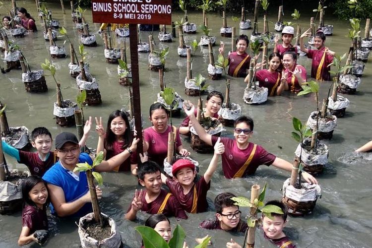 Tahun ini program Outreach dari Binus School Serpong mengangkat tema Kind Acts of Green yang mengajak siswa berkontribusi dalam program penghijauan dengan turut melibatkan orangtua dan guru (8-9/5/2019).
