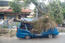 Bencana Alam di Awal Tahun, Longsor hingga Hujan Es Melanda Cianjur