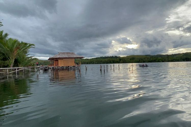 Danau Sentani di sepanjang Sungai Jaifuri, Kampung Yokiwa, Distrik Sentani Timur, Kabupaten Jayapura, Papua.