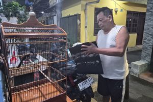 Fenomena Kicau Mania, Warga Rela Rogoh Jutaan demi Burung Peliharaan