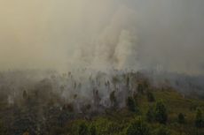 Derita di Balik Bencana Kebakaran Hutan, Terkepung Kabut Asap hingga Sesakkan Dada