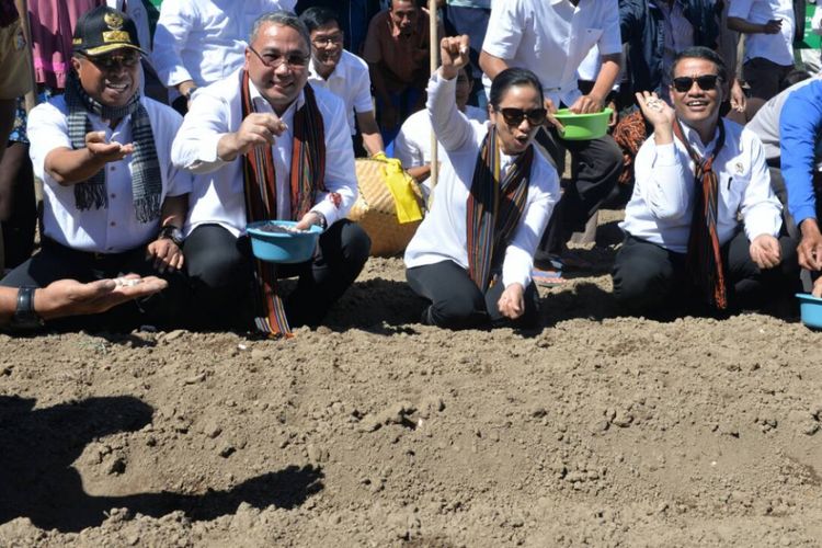 Mendes Eko, usai menanam bawang putih bersama Menteri BUMN Rini Soemarno dan Menteri Pertanian Amran Sulaiman di Desa Sembalun Lawang, Lombok Timur, Rabu (24/5/2017). 