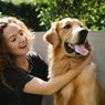 6 Tips Menjaga Kesehatan Anjing Peliharaan 