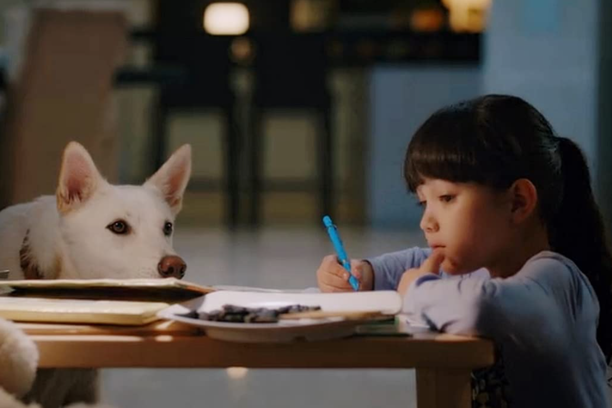 Vidio bokep anjing dan manusia