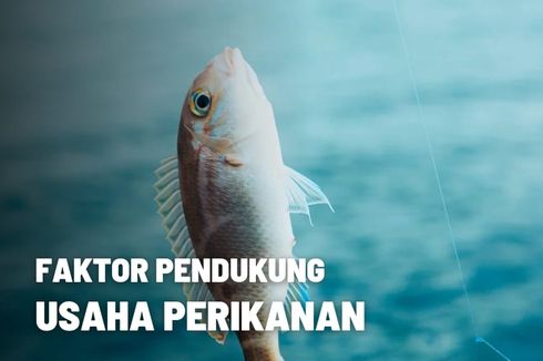 Faktor Pendukung Usaha Perikanan di Indonesia 