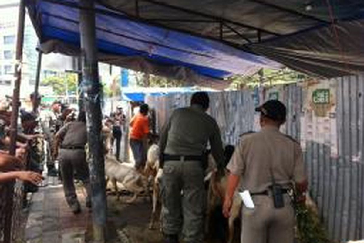 Penertiban pedagang hewan kurban di trotoar Jalan Kyai Haji Mas Mansyur, Tanah Abang, Jakarta Pusat.