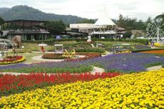 Cantiknya! Ini Dia Taman Bunga Terbesar di Thailand