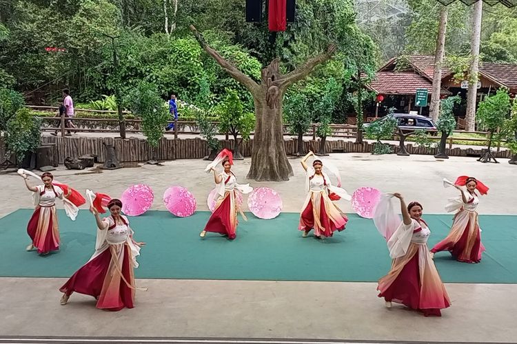 Serunya Parade 'Year of Dragon' Imlek di Taman Safari Bogor, Jawa Barat, Sabtu (10/2/2024). Para pengunjung menyaksikan beragam pertunjukan parade budaya Tionghoa.