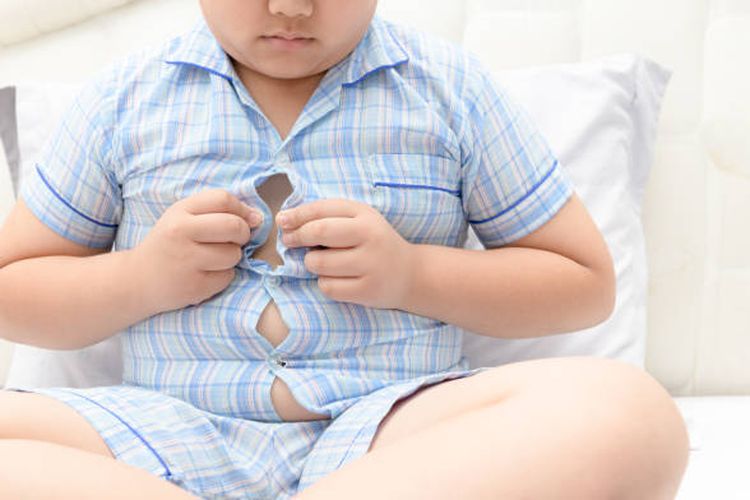 ilustrasi obesitas. Pubertas dini pada anak dapat dipicu berbagai faktor, mulai dari aktivasi hormon terlalu cepat hingga obesitas dan paparan hormon dari luar.