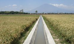 Tingkatkan Produksi Pertanian, Kementan Lakukan Rehabilitasi Jaringan Irigasi Tersier 