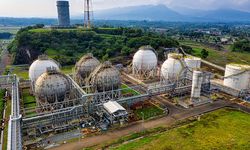 IEA: Permintaan Gas Dunia Diperkirakan Turun 0,5 Persen Tahun Ini