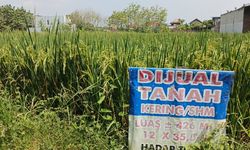 Ombudsman Ungkap Celah Rawan Korupsi Layanan BPN, 6 Kantor Disorot