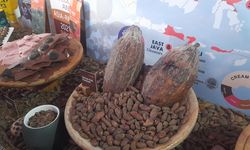Pabrik Cokelat Bersama di Jembrana Bali, Dukung Produk UMKM 