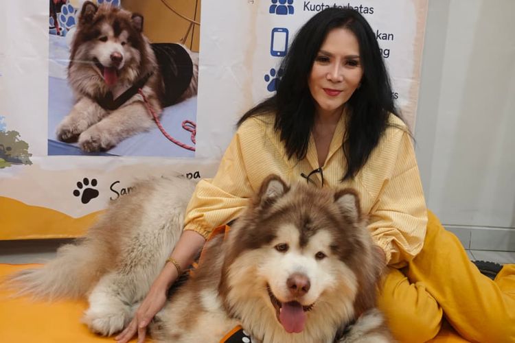 Kisah Denver Si Anjing 