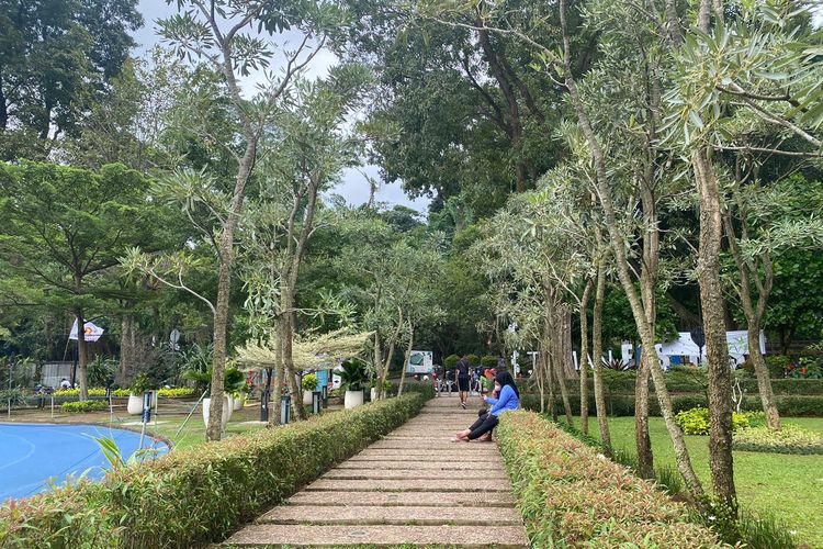 Tanaman dan tempat bersantai di Lapangan Sempur, Kota Bogor. 
