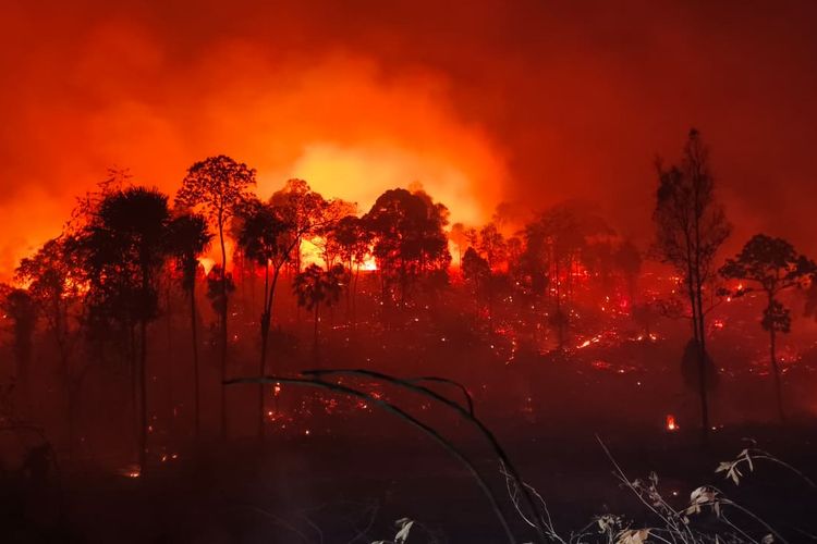 Kasus Karhutla, Kementerian Lingkungan Hidup Segel 21 Badan Usaha di 7 Provinsi