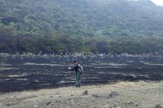 TNGGP: Kebakaran di Gunung Gede Gara-gara Sisa Api Unggun Pendaki