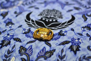 WFH ASN: Nyaman di Pusat, Tantangan di Daerah