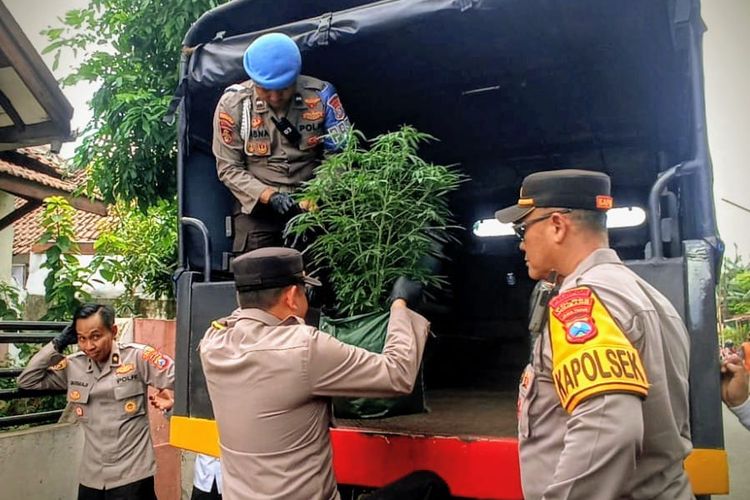Laboratorium Ganja Tersembunyi di Rumah Kontrakan Jombang, Residivis 5 Kali Coba Akali Hukum
