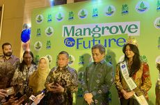 Deforestasi Mangrove Mengancam, Ini Upaya Pemerintah