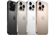 Hasil Jepretan Kamera iPhone 16 Pro Max, Juara "Harapan 1" Versi DxOMark