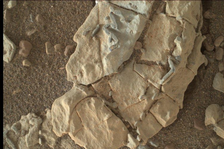 foto benda diduga fosil alien di Mars
