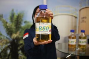 B50 Berlaku Juli 2026, Pemerintah Jamin Stok Minyak Goreng Tetap Aman