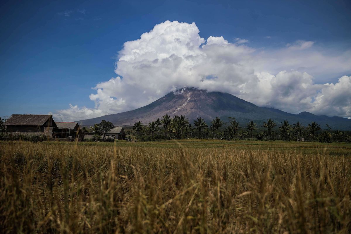Gunung Semeru terlihat dari Desa Curah Kobokan, Kecamatan Candipuro, Lumajang, Jawa Timur, Selasa (7/12/2021). Berdasarkan data Badan Nasional Penanggulangan Bencana (BNPB) per Senin (06/12) pukul 20.15 WIB, setidaknya 22 orang tewas, sementara 22 orang dinyatakan hilang dan 56 lainnya mengalami luka-luka. Erupsi juga berdampak terhadap 5.205 jiwa.