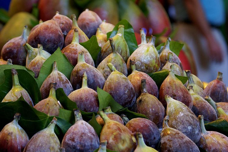 Ilustrasi buah tin atau buah ara. Seperti kurma, buah tin yang ada dalam Al Qur'an juga kaya akan nutrisi dan manfaat untuk kesehatan tubuh.
