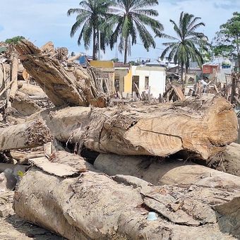 Kayu sisa banjir bandang masih menumpuk di Desa Sukajadi, Kecamatan Karang Baru, Aceh Tamiang.